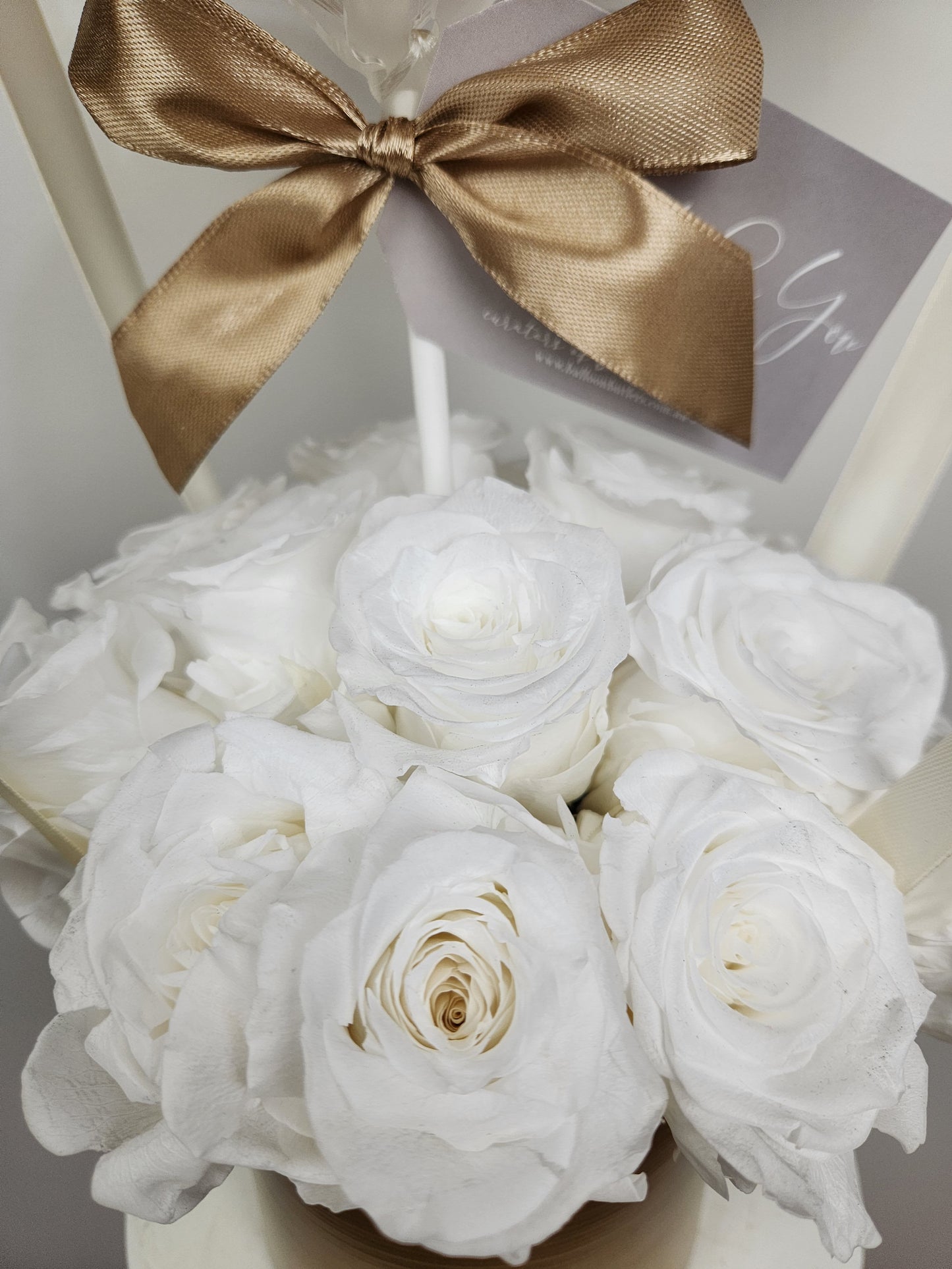 Everlasting Roses | White